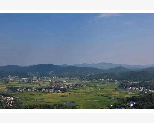 金钱橘:神奇的中医食疗,助您轻松化痰