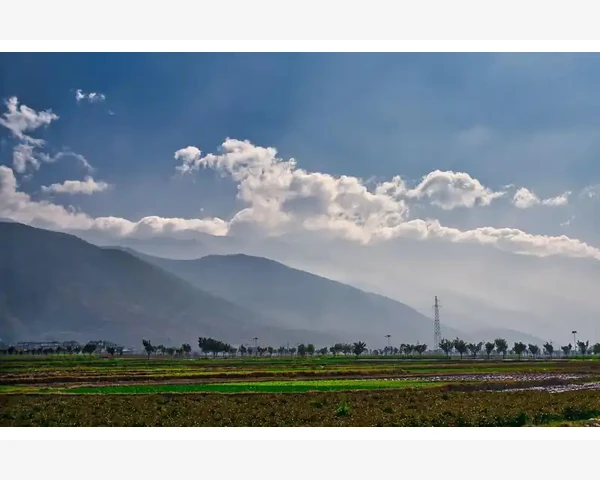 从中医角度看,你补什么,还要看你在什么样的季节进行补充。