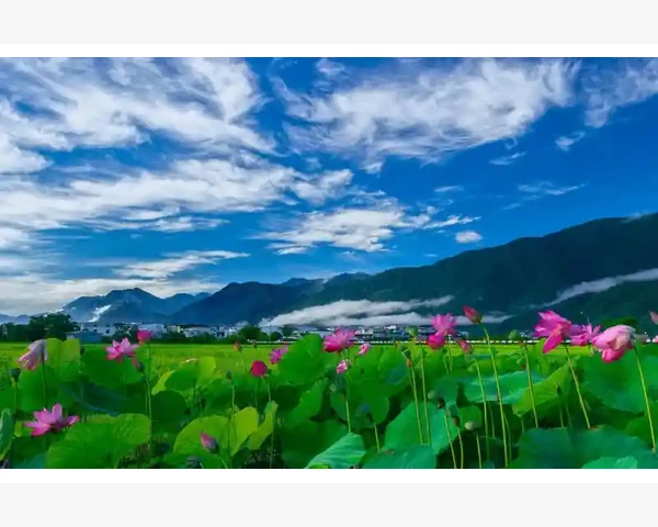 咽喉有痰,吃牛黄清肺是否靠谱?